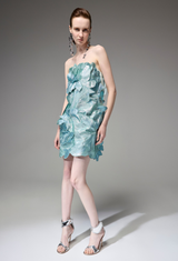 Aurephina Dress